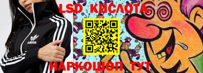 молекула духа Будённовск