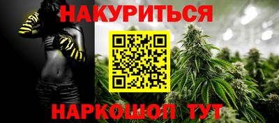 молекула духа Будённовск
