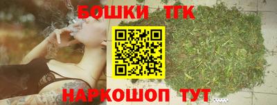 молекула духа Будённовск